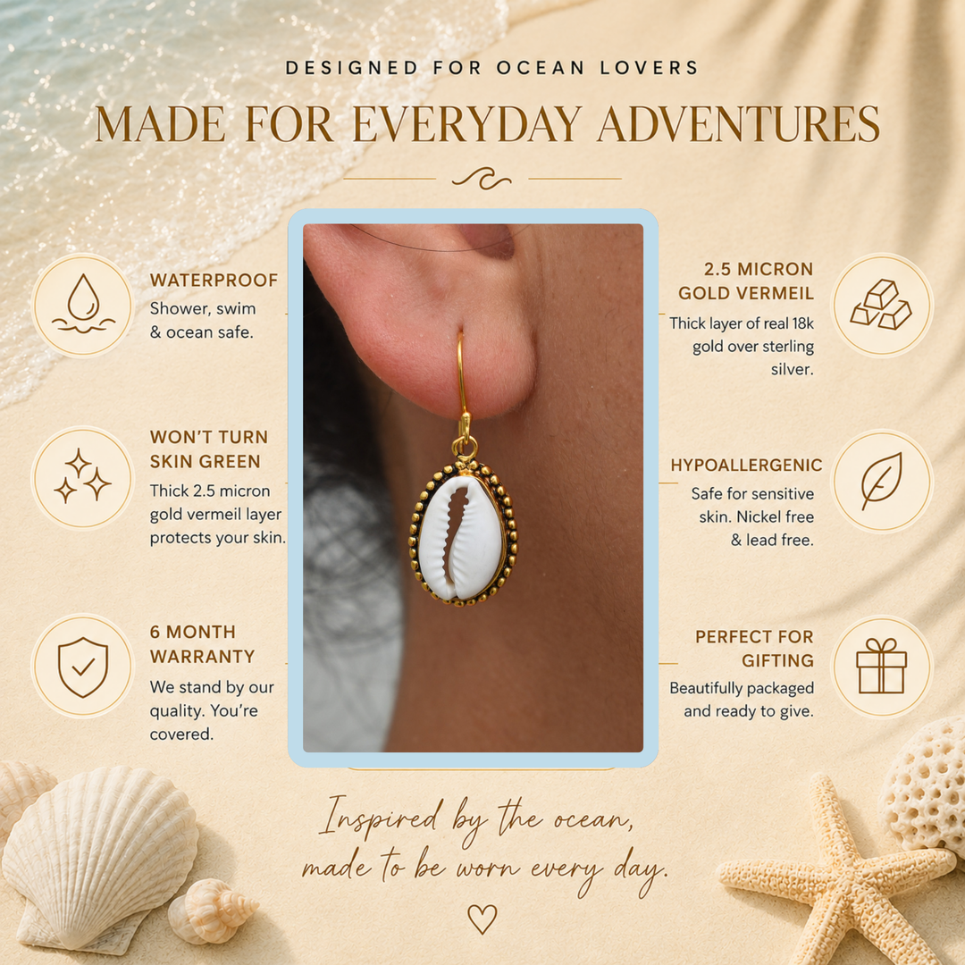Cowrie Shell Hook Earrings | Gold Vermeil