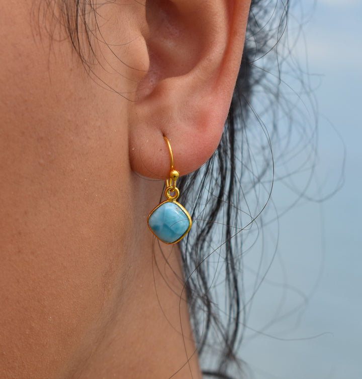 Larimar Hook Earrings | Gold Vermeil