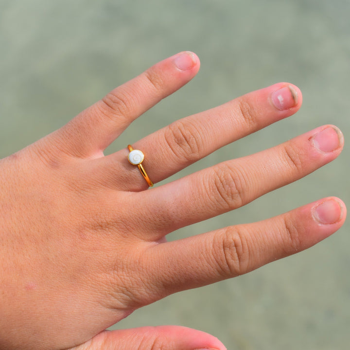 Shiva Shell Ring | Gold Vermeil