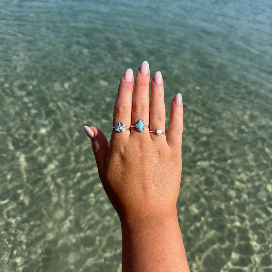 Shiva Shell Ring | Sterling Silver
