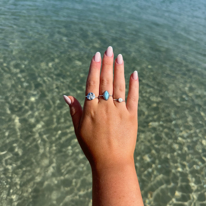 Shiva Shell Ring | Sterling Silver