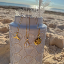 Load image into Gallery viewer, Gold Sand Dollar Necklace, Beach Necklace, Sand Dollar Jewellery, Gold Starfish Pendant, Mermaid Money, Shell Charm