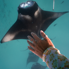 Load image into Gallery viewer, Abalone (Paua Shell) Manta Ray Ring