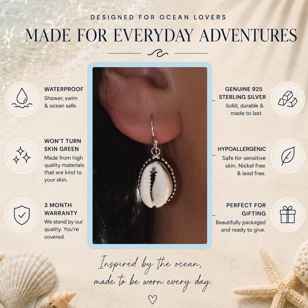 Cowrie Shell Hook Earrings | Sterling Silver