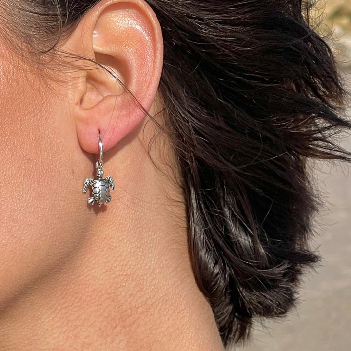 TURTLE HOOPS