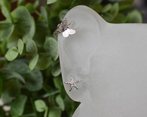 Starfish Ear Studs